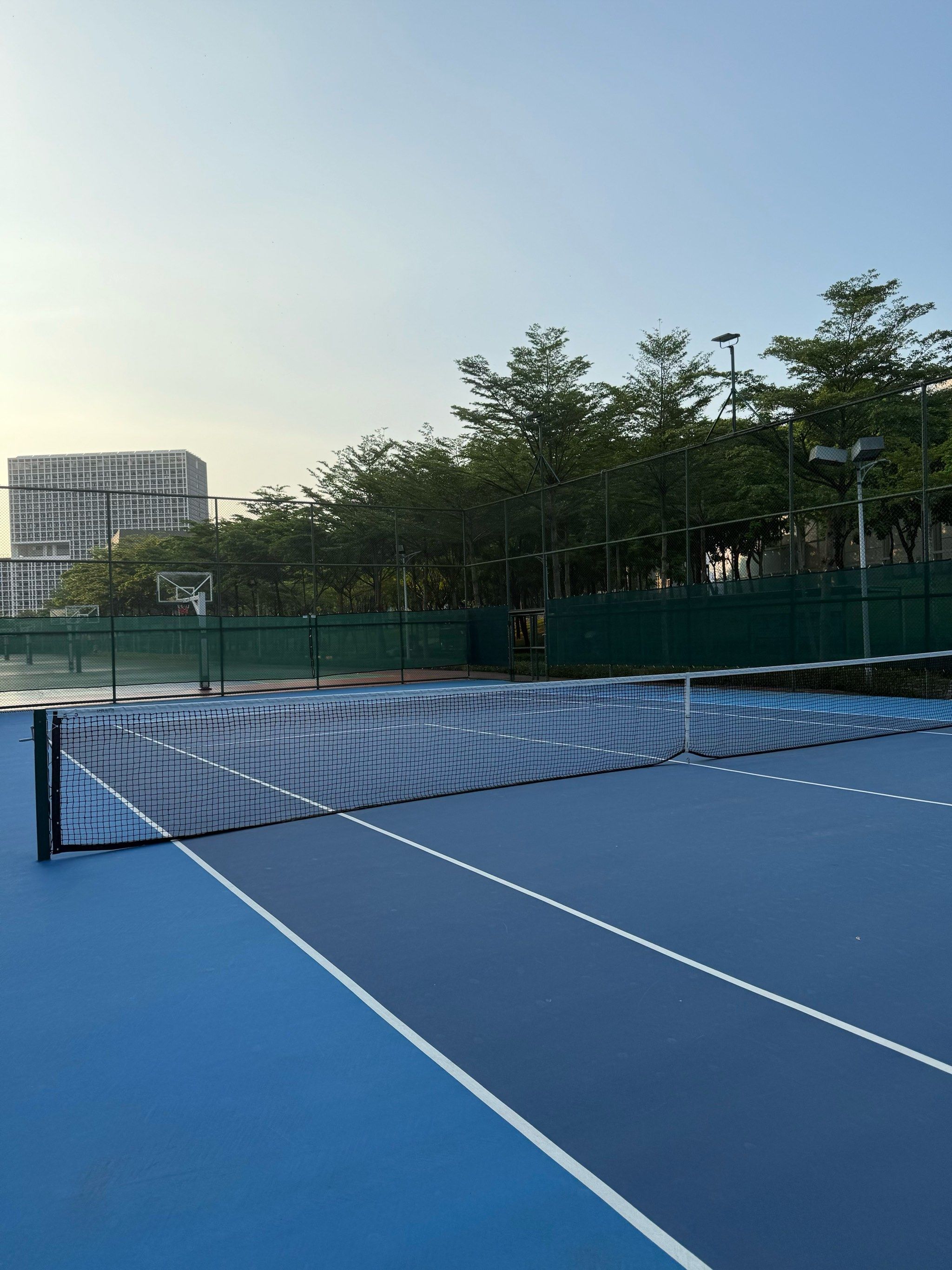 的脆弱与坚 的脆弱与坚