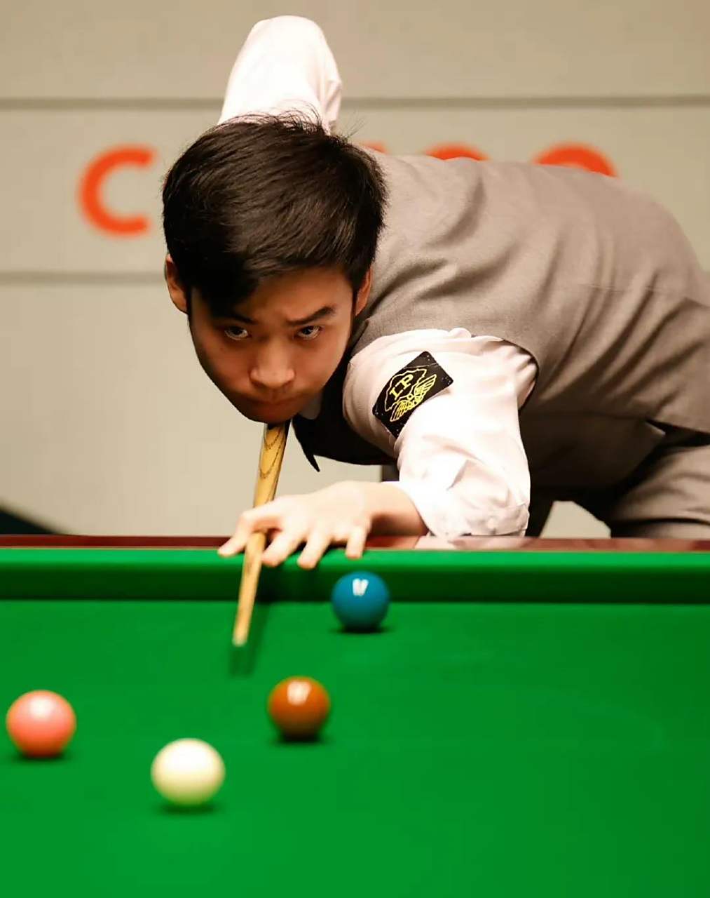 康和表现的 康和表现的